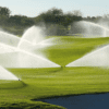 Incremento de jugadores y sensibilización sobre la utilización del agua en los campos de golf excelente