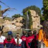 Éxito de la presentación a la Comunidad docente de la Oferta Escolar “2025–26” de BIOPARC Valencia