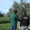 GO Viver impulsa un modelo agrícola  que protege el territorio frente a  incendios y refuerza la biodiversidad
