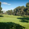 Tenemos los campos de Golf de Valencia y Provincia casi a tope de socios o abonados .